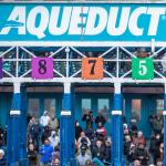 ABR Sunday Selections: Full-Card Picks for Nov. 23 at Aqueduct